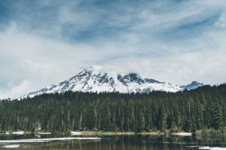 Best of the South Sound 2019
